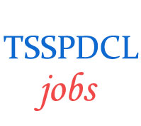 Junior Assistant-cum-Computer Operator Jobs in TSSPDCL