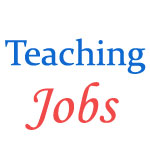 Various Teaching Jobs in Central University of Kerala (CUK)