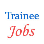 Junior Assistant (Trainee) jobs in Steel Authority of India Limited (SAIL) 