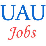 Teaching, Medical Technical Jobs in UAU