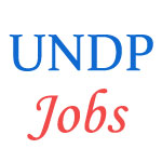 Various Jobs in United Nations Development Programme  (UNDP)