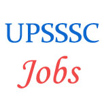 UPSSSC Stenographer Examination