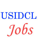 Junior Engineer Jobs in USIDCL