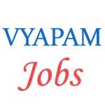 Various Jobs in Madhya Pradesh Professional Examination Board