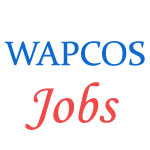 WAPCOS Rajasthan Jobs