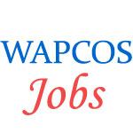 Electrical Engineers Jobs in WAPCOS