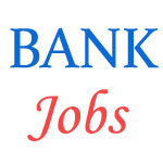 Andhra Bank Security Officers Jobs