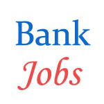 Officer Jobs in Telangana Grameena Bank (TGB)