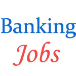 Upcoming Banking Jobs of Specialist Officers in Allahabad Bank