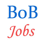 Specialist Officer Jobs in Bank of Baroda