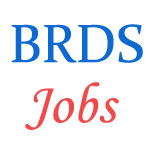 Accounts and Audit Professionals jobs in BRDS