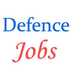 Various Jobs in Indian Coast Guard