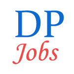 Delhi Police Constable Executive Jobs SSC 2016 