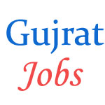 Computer Operator jobs in High Court of Gujrat