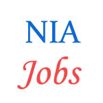 Administrative Officer Medical Jobs in New India Assurance