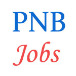 Punjab National Bank Jobs - Hockey Players vacancy