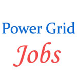 Power Grid Jobs for Professionals