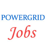 Assistant Finance in Power Grid Northern Region Jobs