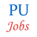 Punjabi University -  Assistant Professors posts